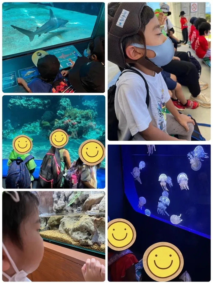 児童サポートハウス　ユニコーン/🐟美ら海水族館🐟