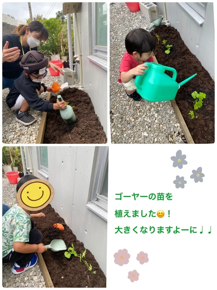 児童サポートハウス　ユニコーン/ゴーヤーの苗植え