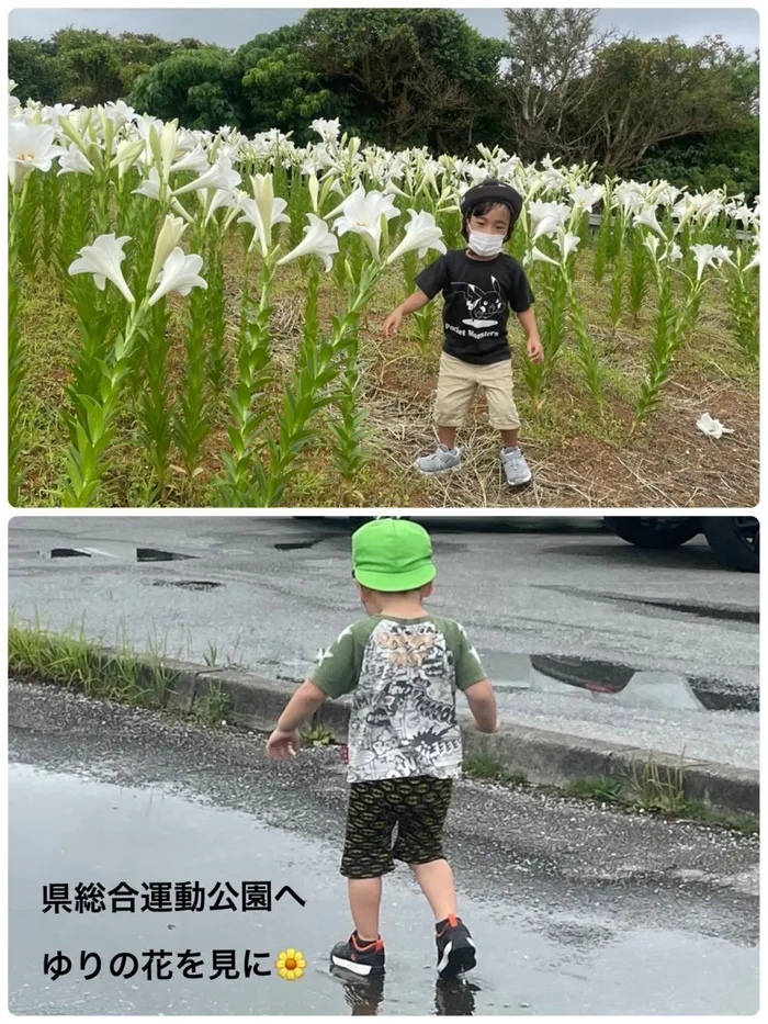 児童サポートハウス　ユニコーン/県総合運動公園へ～ユリの花を見に～