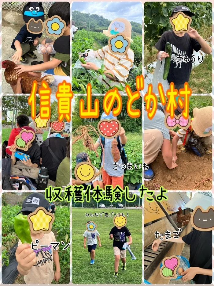 あすなろキッズ/🥒🥚収穫体験!🫑🍠