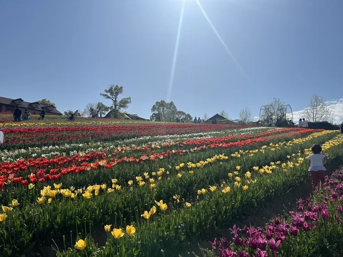 あすなろキッズ/お出かけイベントの下見に行きました🌷