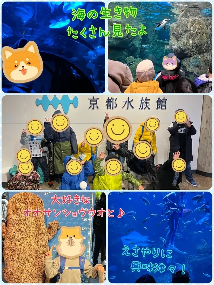 あすなろキッズ/京都水族館に行ってきました🐠