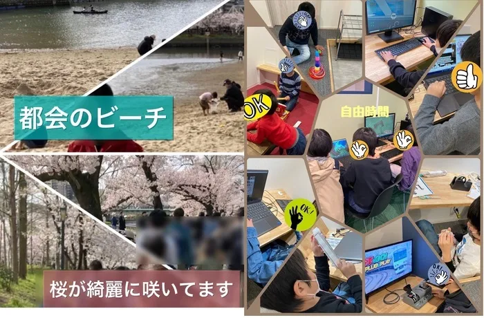 小学4年生～中学生～高校生対象のパソコン療育★就労準備型放課後等デイサービス トレインキッズ　アネックス★/桜が満開！桜ノ宮ビーチで遊ぼう！