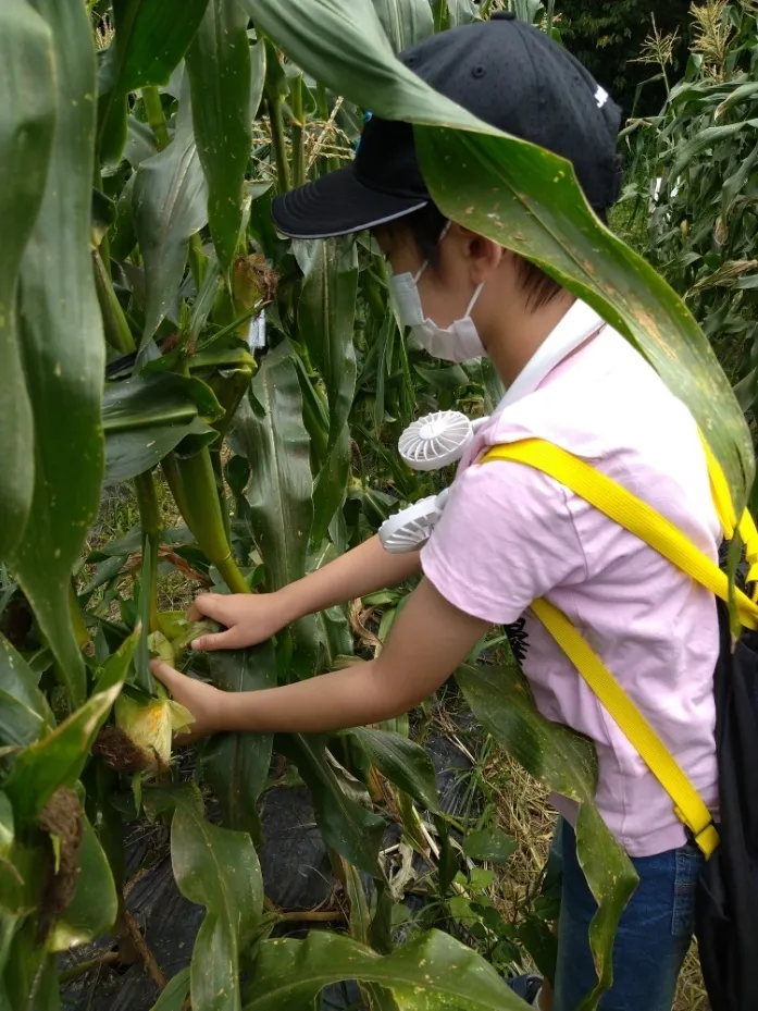 ヤンチャリカ/8/9のヤンチャリカは「のどか村野菜収穫」