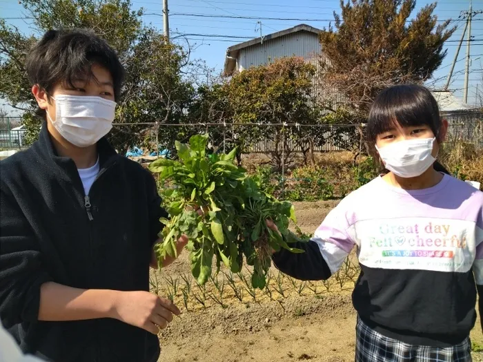 ヤンチャリカ/畑仕事⑤