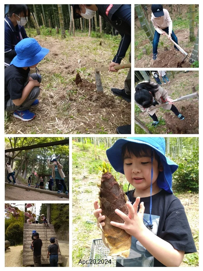 ヤンチャリカ/4/20のヤンチャリカはのどか村（タケノコ掘り）