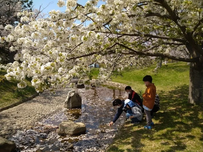 ヤンチャリカ/4/3のヤンチャリカは舞洲緑地公園！