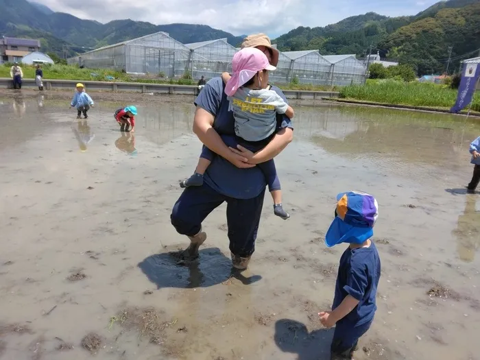 えくぼ/田んぼで泥遊び