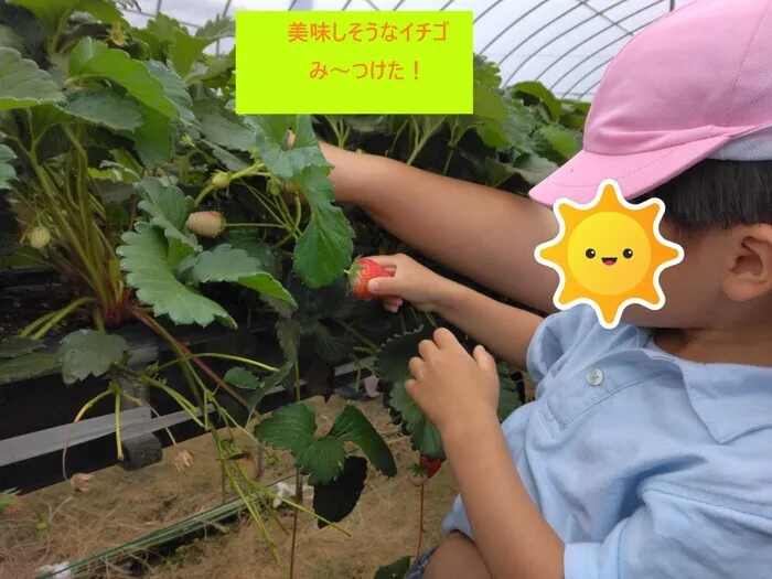 えくぼ/🍓いちご狩り🍓