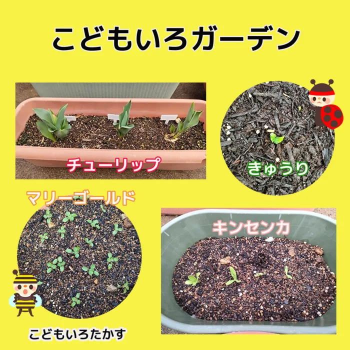 こどもいろたかす/こどもいろガーデン紹介♪