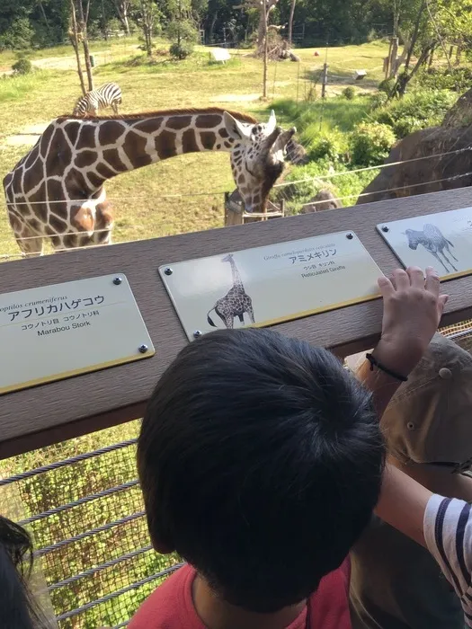 ライズ児童デイサービス布施あじろ/天王寺動物園🦁