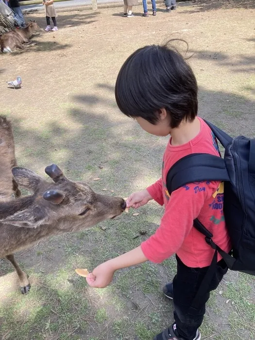 ライズ児童デイサービス布施あじろ/奈良公園🦌