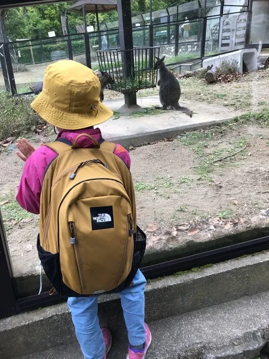 ライズ児童デイサービス布施あじろ/五月山動物園🐐