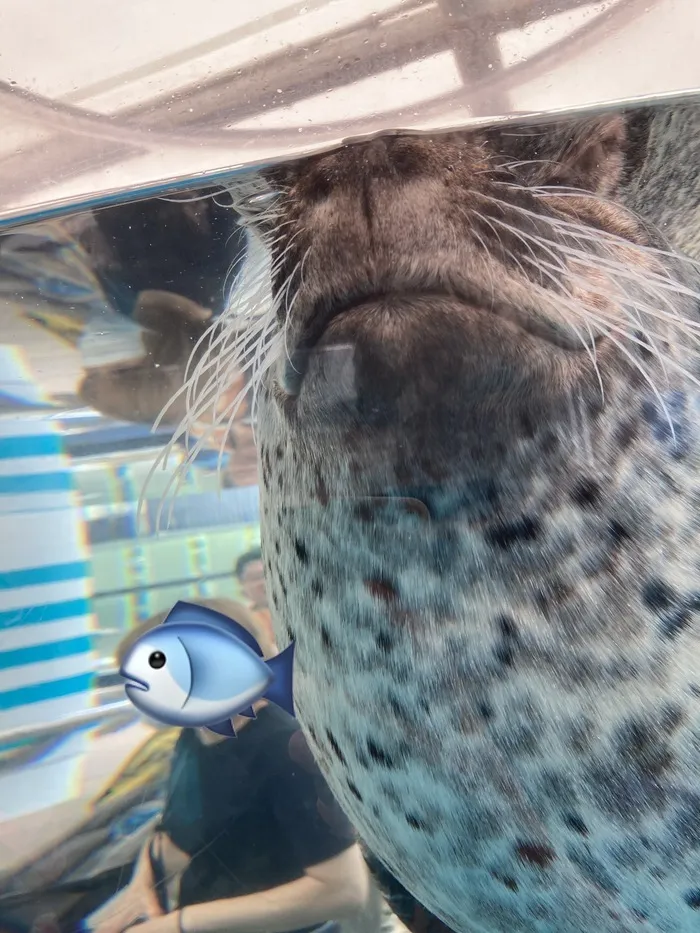 ライズ児童デイサービス布施あじろ/京都水族館🐟