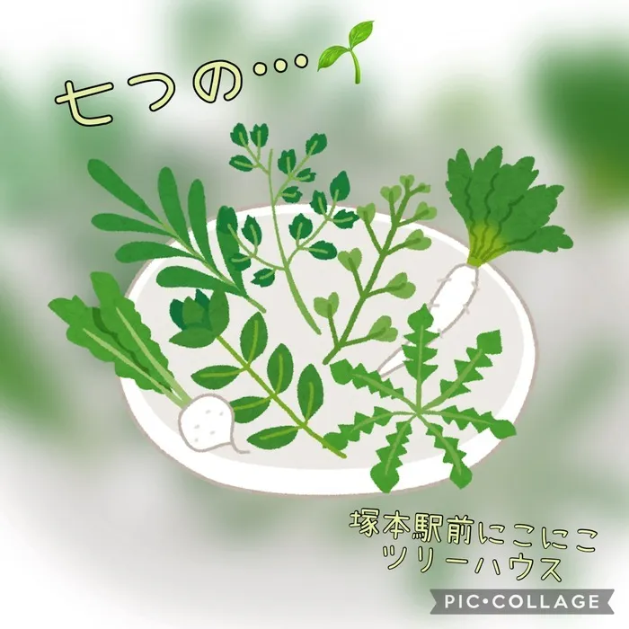 児童発達支援・放課後等デイサービス塚本駅前にこにこツリーハウス/七つの…🌱