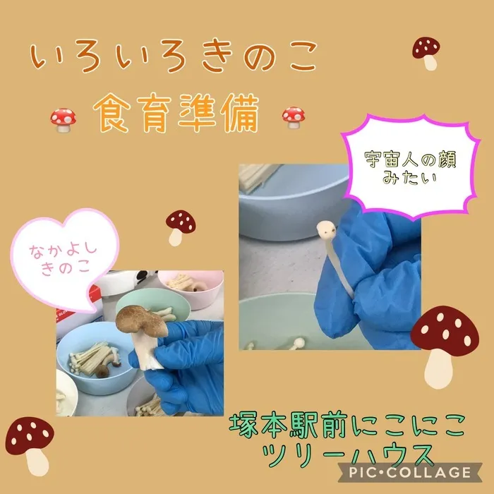 児童発達支援・放課後等デイサービス塚本駅前にこにこツリーハウス/いろいろきのこ🍄