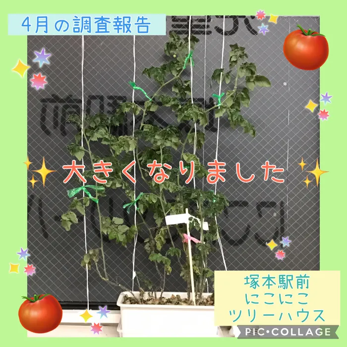 児童発達支援・放課後等デイサービス塚本駅前にこにこツリーハウス/🍅４月の調査報告🍅