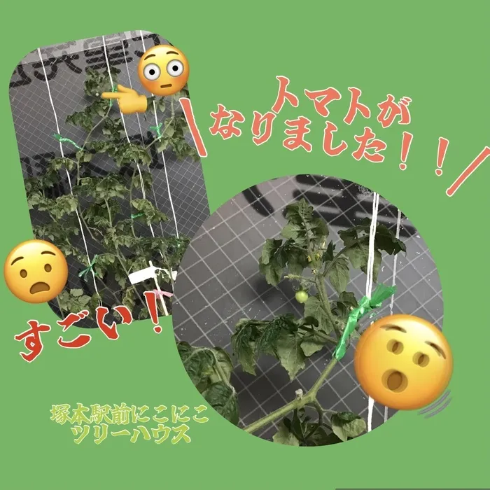 児童発達支援・放課後等デイサービス塚本駅前にこにこツリーハウス/今日のひとコマ『おわかりいただけましたでしょうか？』