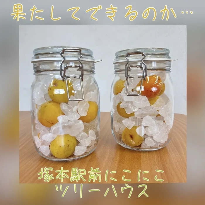 児童発達支援・放課後等デイサービス塚本駅前にこにこツリーハウス/梅…！