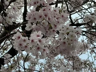 きりんのあくびkids いまざと/オープンしました✨