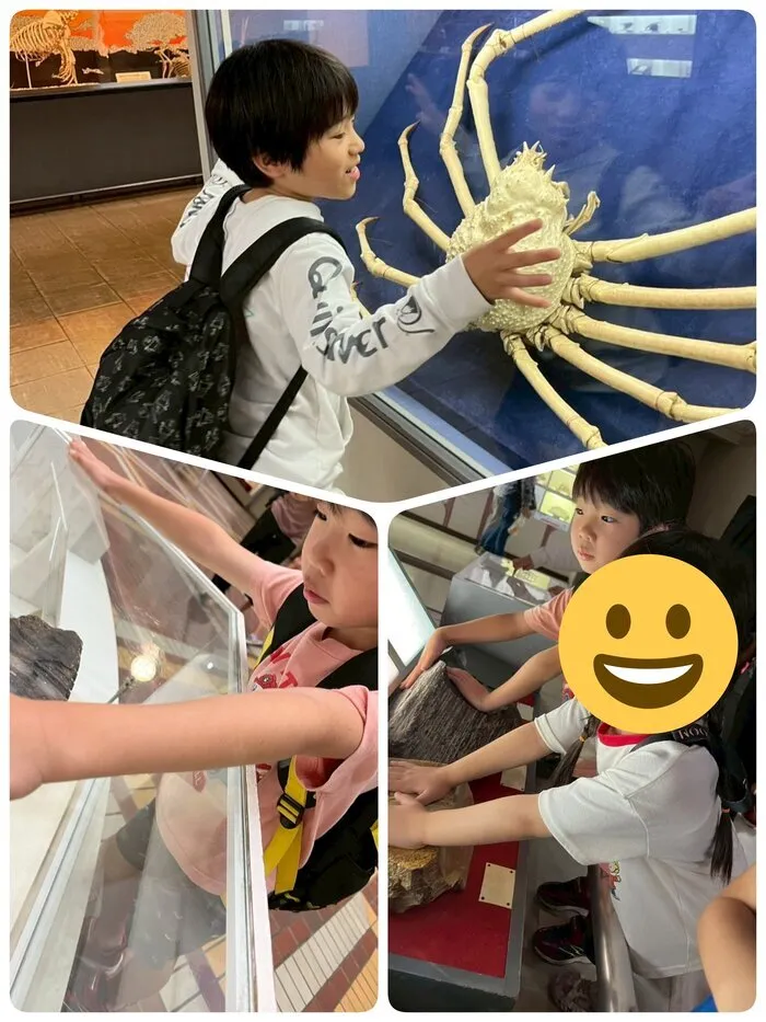 きりんのあくびkids いまざと/大阪市立自然史博物館✨