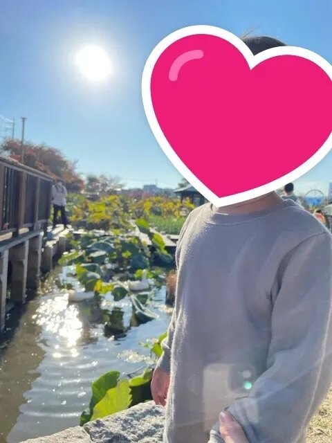 リールスメイト加島/市場池公園🌞