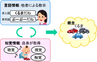 てらぴぁぽけっと仙台教室/概念形成とは？