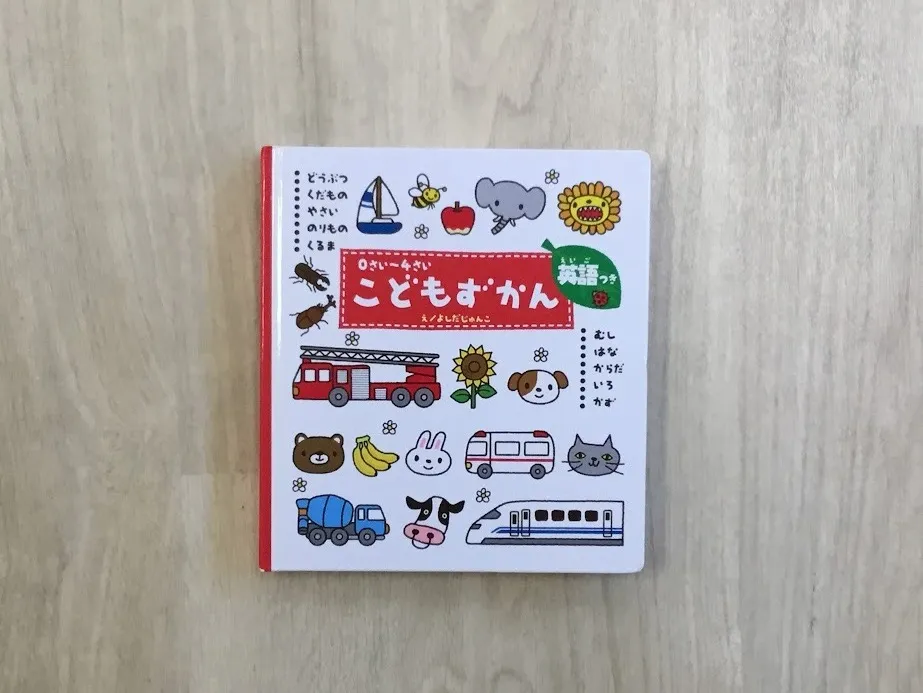 てらぴぁぽけっと仙台教室/新しい絵本『こどもずかん』📖