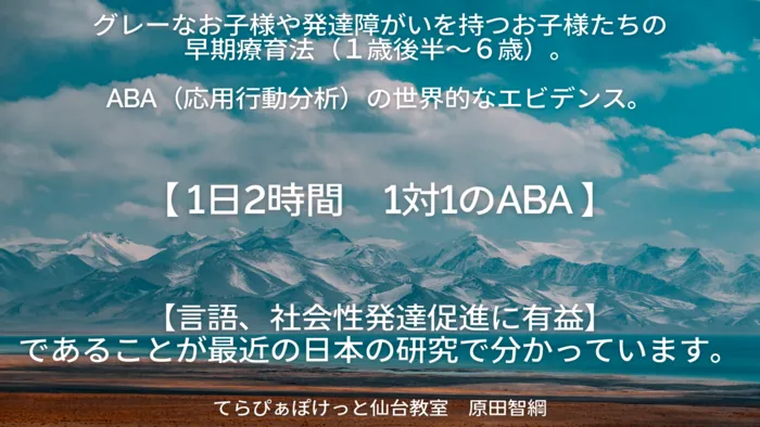 てらぴぁぽけっと仙台教室/ABAとは？仙台で介入効果のエビデンスがある療育。