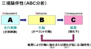 てらぴぁぽけっと仙台教室/三項随伴性とは？