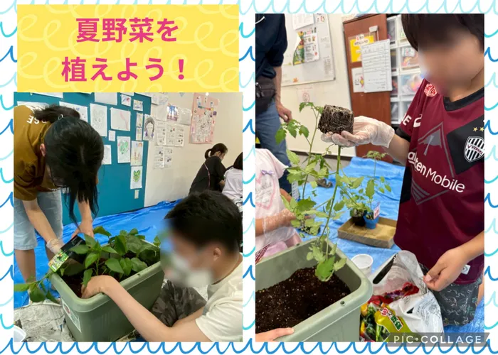 放課後等デイサービスわおん　トア教室/わおん農園🍅今年も開園！