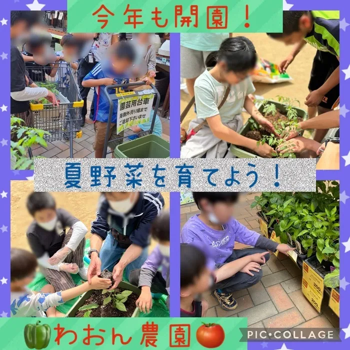 放課後等デイサービスわおん　トア教室/今年も開園🍅わおん農園！