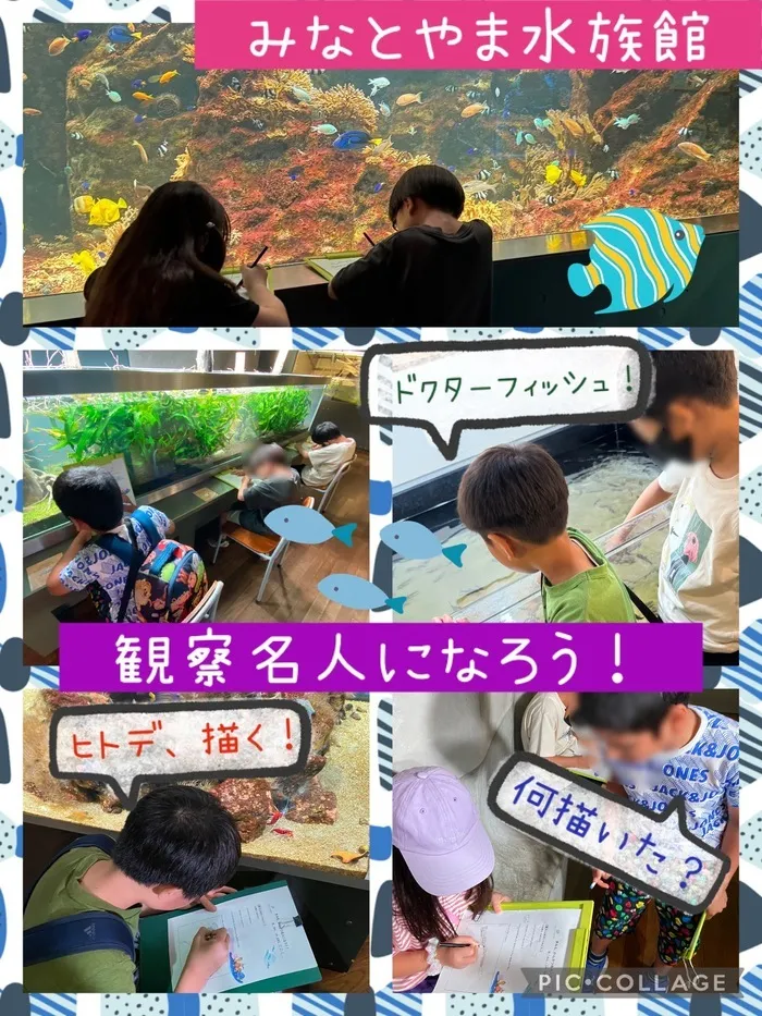 放課後等デイサービスわおん　トア教室/君も観察名人になろう🐠