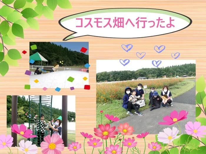 こぱんはうすさくら盛岡緑が丘教室/コスモス畑へ行ったよ🌺