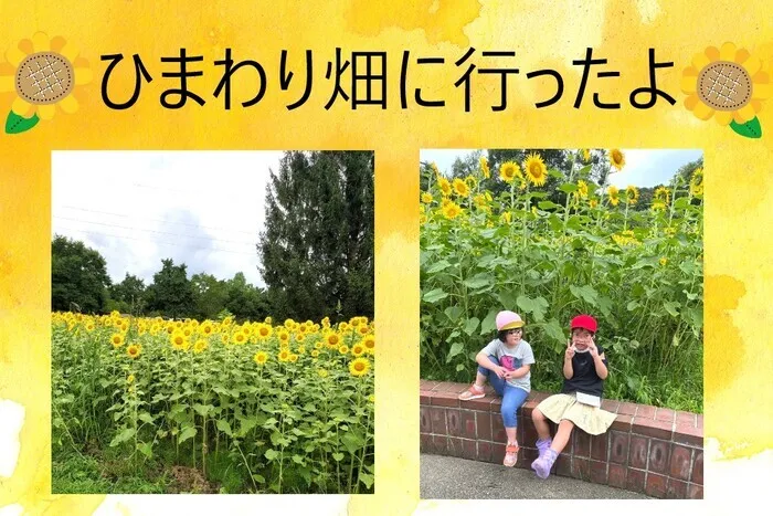 こぱんはうすさくら盛岡緑が丘教室/ひまわり畑に行ってきました🌻