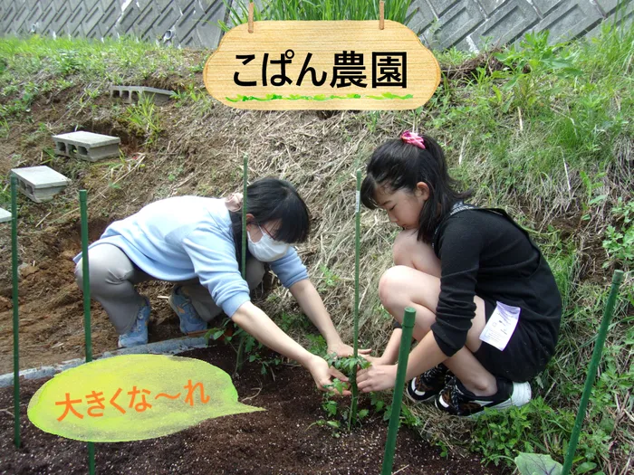 こぱんはうすさくら盛岡緑が丘教室/こぱん農園始めました