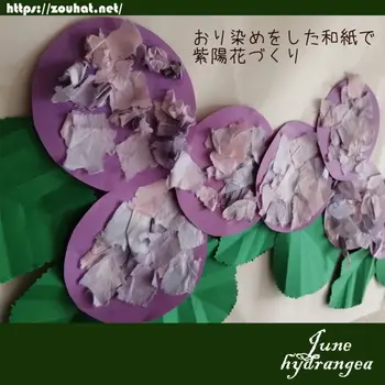 ぞうさんのぼうし/優しい色合いの紫陽花