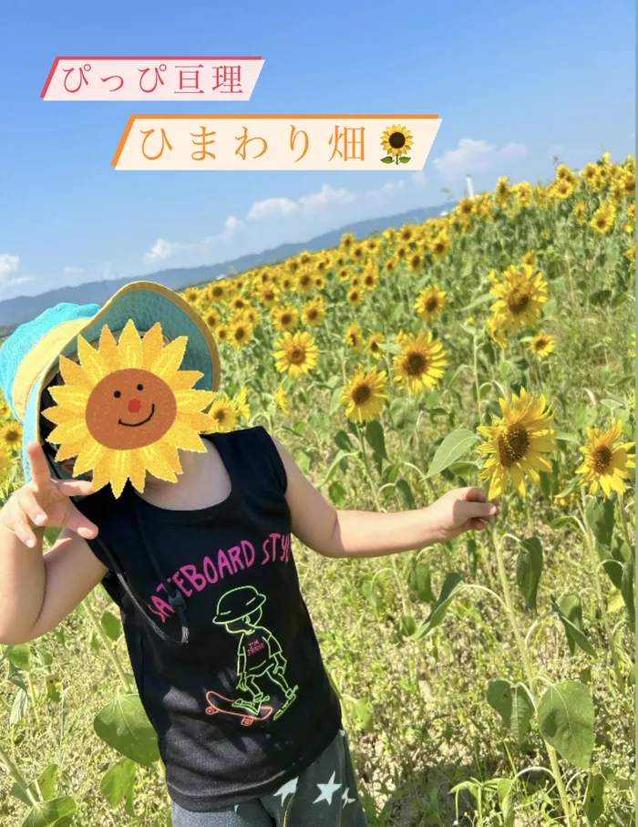 ぴっぴ亘理/ひまわり畑🌻