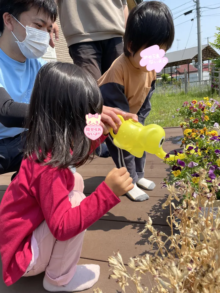 ぴっぴ亘理/✎𓈒𓂂𓏸花育活動🌼🐤