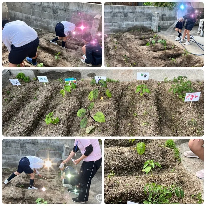 放課後等デイサービス　EMMA　中須教室/野菜を植えよう🌱