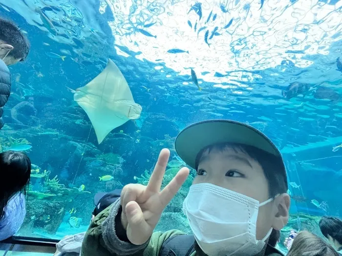 ナーシングサポート前後/名古屋港水族館へ行ったよ🐬✨