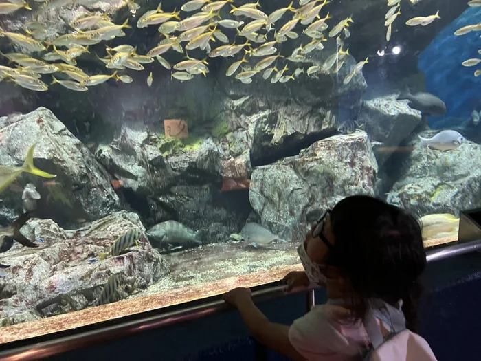 ナーシングサポート前後/碧南海浜水族館🐠