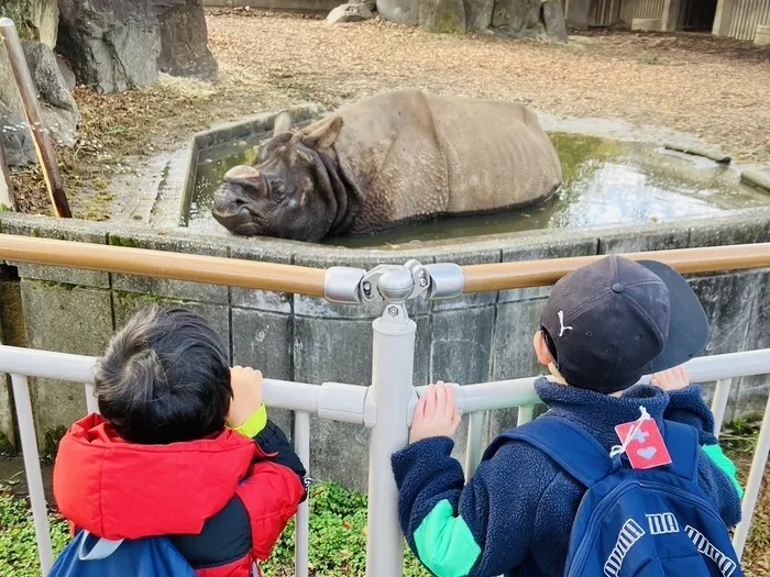 ナーシングサポート前後/東山動植物園へお出かけ🐘