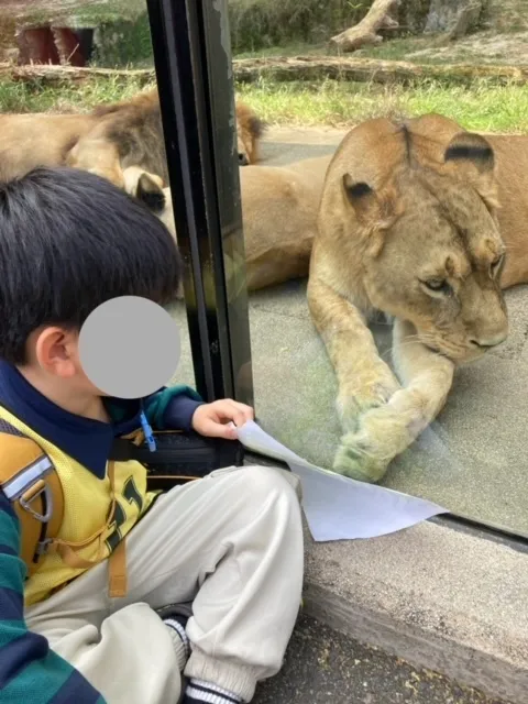 サッカー療育　放課後等デイサービス　LEIF広島/安佐動物園にいきました