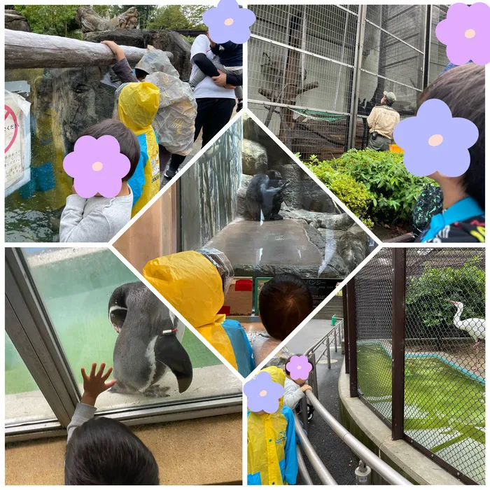 きりんのあくびkids みと/動物園へ行ってきました🦒