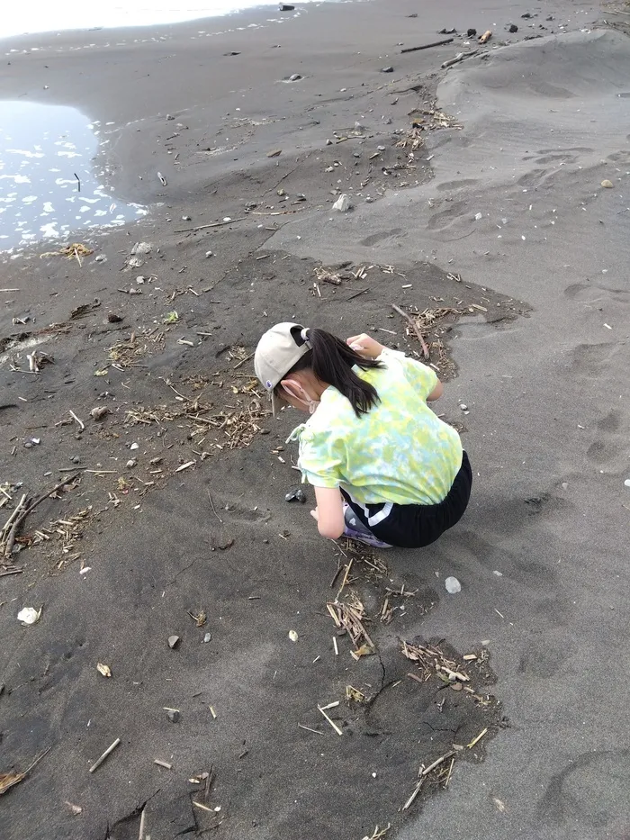 【送迎あり】こぱんはうすさくら　札幌太平教室/ビーチコーミング【札幌北区太平の児童ディサービス】