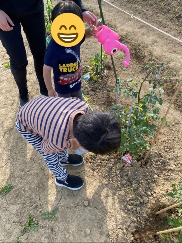 【送迎あり】こぱんはうすさくら　札幌太平教室/畑のお世話