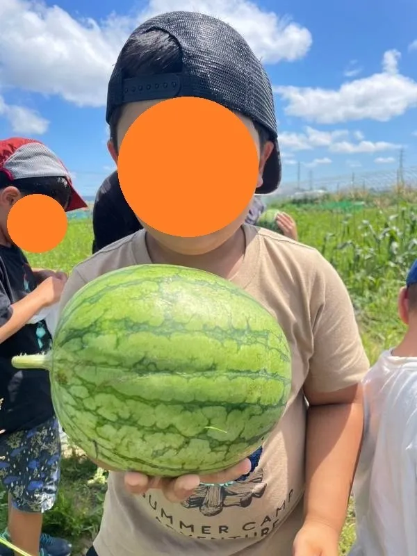 【送迎あり】こぱんはうすさくら　札幌太平教室/こぱん畑の収穫【札幌市北区児童デイサービス】