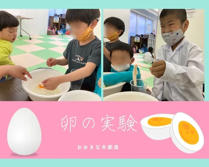 【2021年9月Open!!】おおきな木都島/卵の実験🥚