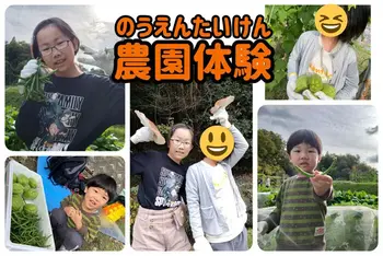 【2021年9月Open!!】おおきな木都島/農園体験